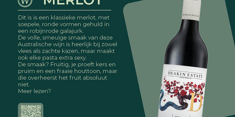 WOODSTONE Pizza and Wine - Merlot